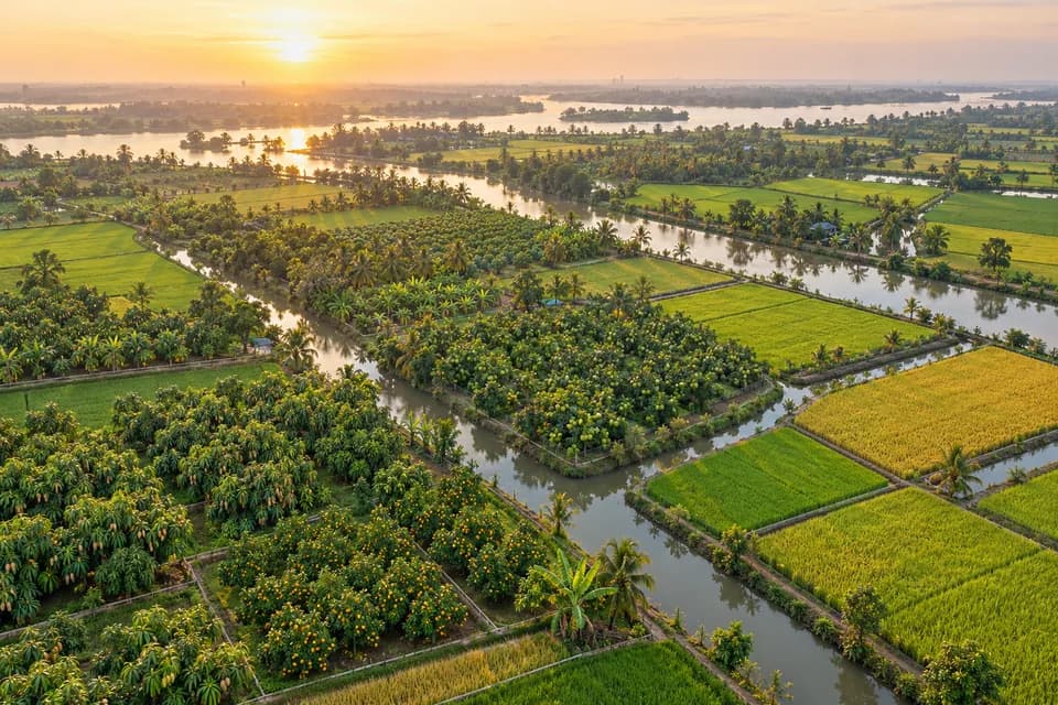 Toàn cảnh thửa vườn, ruộng và kênh rạch nhìn từ trên cao